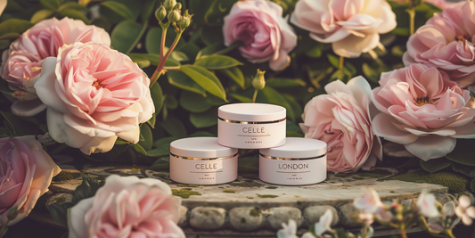 Exclusive Ultimate Skincare Bundle Offer